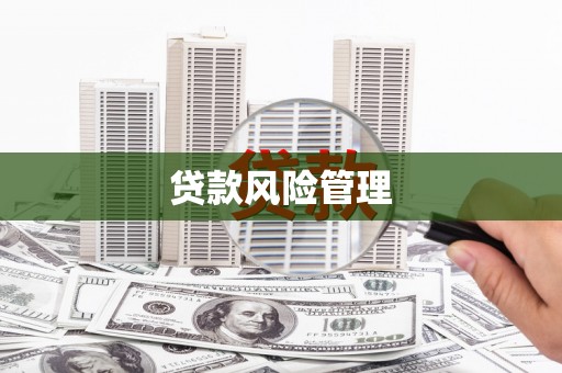 水城贷款风险管理