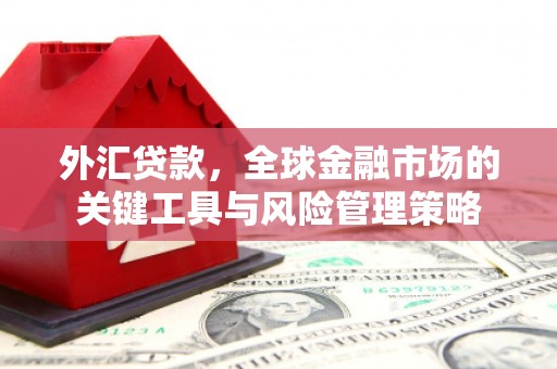 水城外汇贷款，全球金融市场的关键工具与风险管理策略