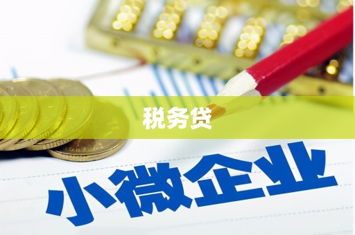 水城税务贷