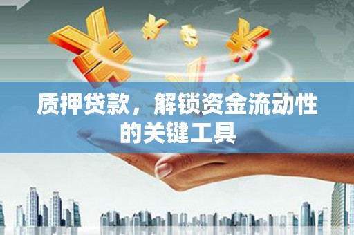 水城质押贷款，解锁资金流动性的关键工具