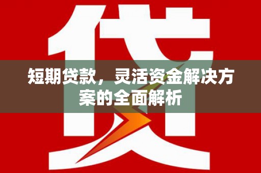 水城短期贷款，灵活资金解决方案的全面解析