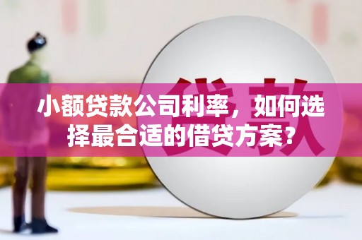 水城小额贷款公司利率，如何选择最合适的借贷方案？