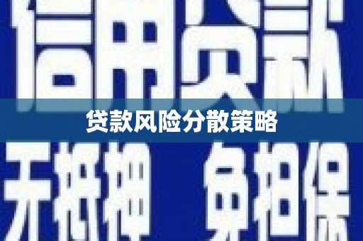 水城贷款风险分散策略