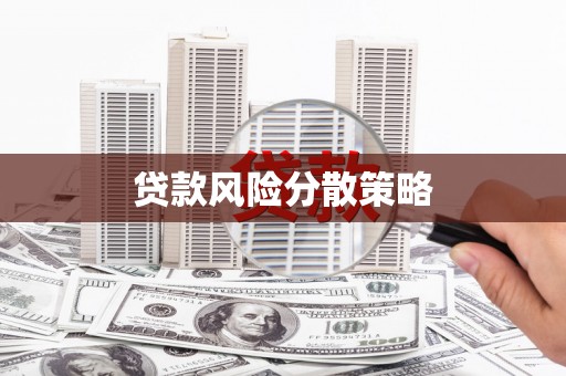 水城贷款风险分散策略