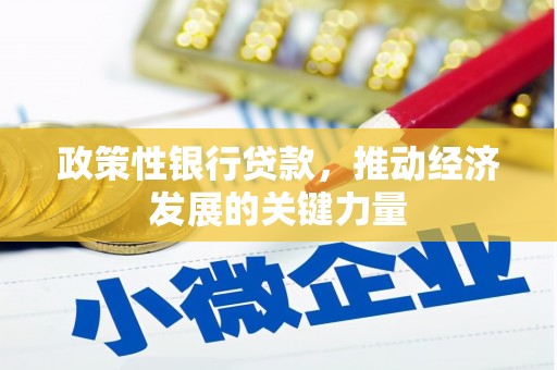 水城政策性银行贷款，推动经济发展的关键力量