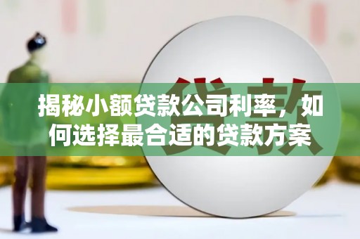 水城揭秘小额贷款公司利率，如何选择最合适的贷款方案
