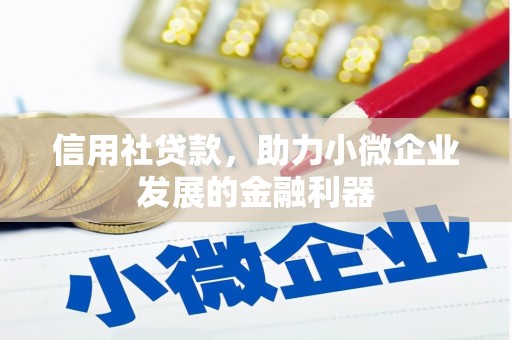 水城信用社贷款，助力小微企业发展的金融利器