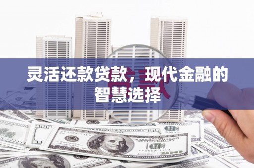 水城灵活还款贷款，现代金融的智慧选择