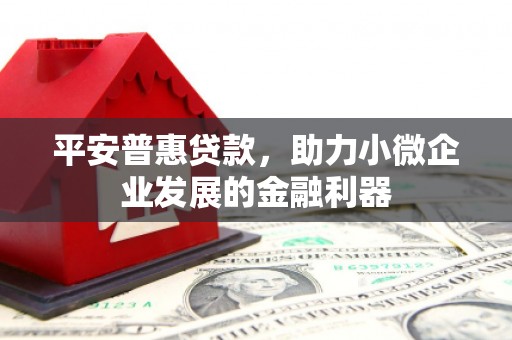 水城平安普惠贷款，助力小微企业发展的金融利器