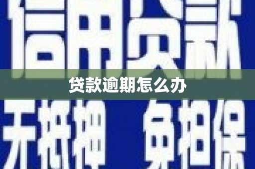 水城贷款逾期怎么办