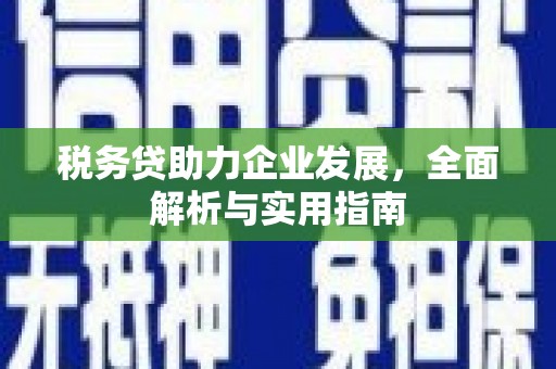 水城税务贷助力企业发展，全面解析与实用指南