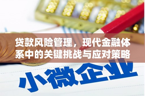 水城贷款风险管理，现代金融体系中的关键挑战与应对策略