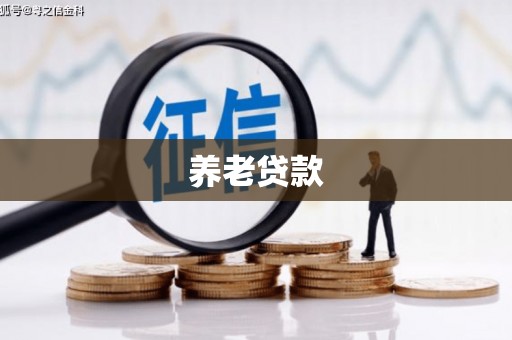 水城养老贷款