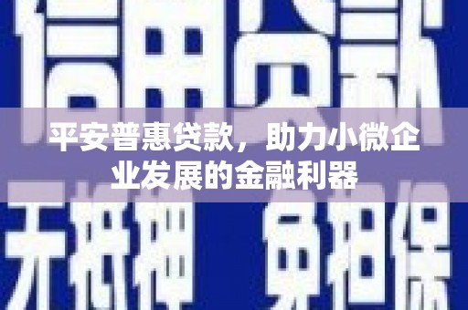 水城平安普惠贷款，助力小微企业发展的金融利器