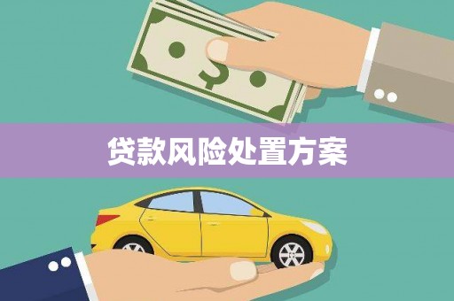 水城贷款风险处置方案