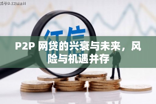 水城P2P 网贷的兴衰与未来，风险与机遇并存