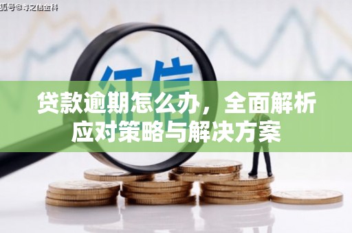 水城贷款逾期怎么办，全面解析应对策略与解决方案