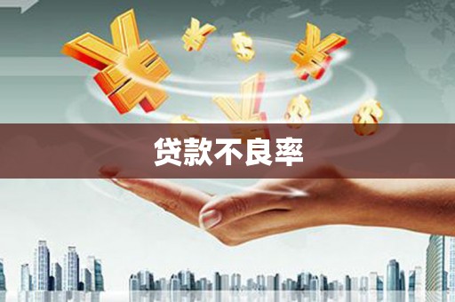 水城贷款不良率