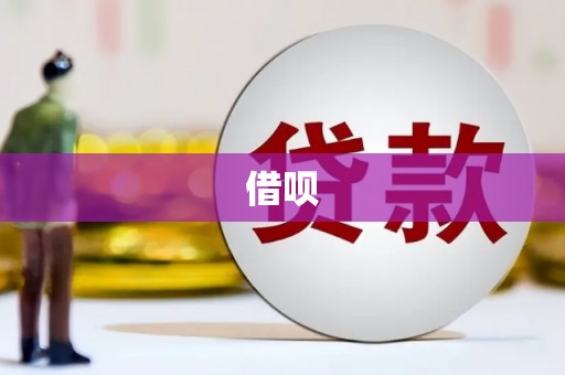 水城借呗