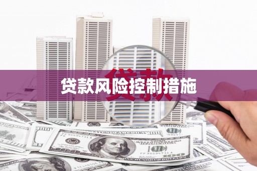 水城贷款风险控制措施