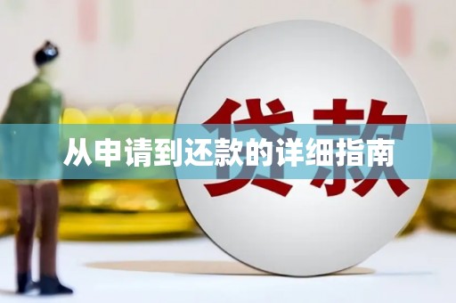 水城从申请到还款的详细指南