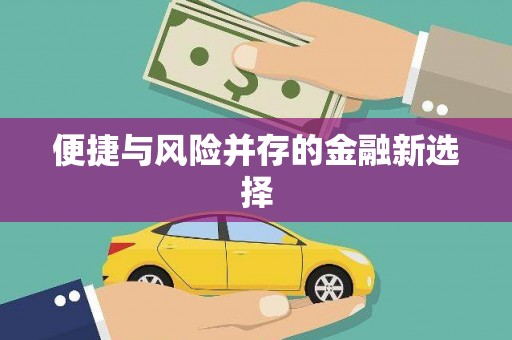 水城便捷与风险并存的金融新选择