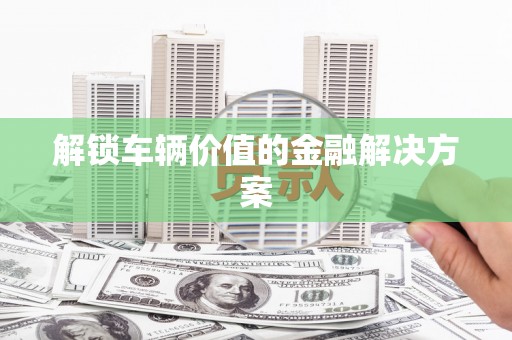 水城解锁车辆价值的金融解决方案