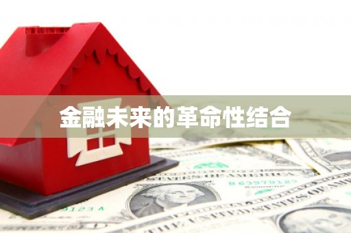 水城金融未来的革命性结合