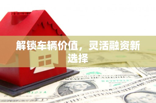 水城解锁车辆价值，灵活融资新选择