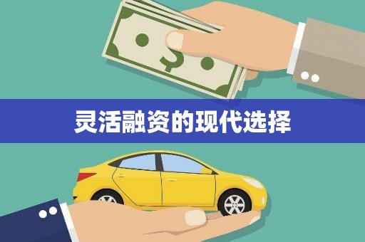 水城灵活融资的现代选择