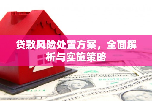 水城贷款风险处置方案，全面解析与实施策略