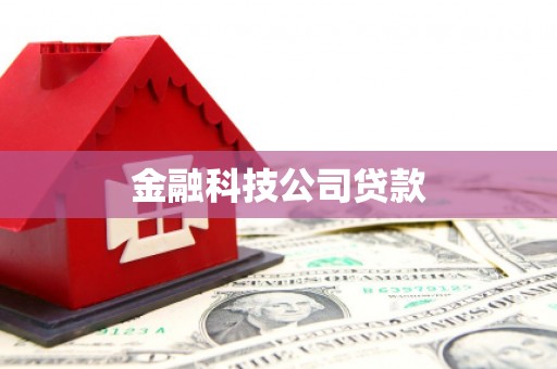 水城金融科技公司贷款