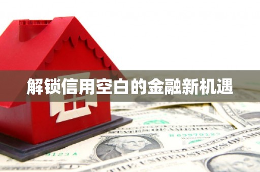水城解锁信用空白的金融新机遇