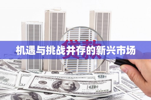 水城机遇与挑战并存的新兴市场