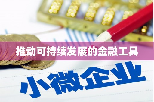 水城推动可持续发展的金融工具