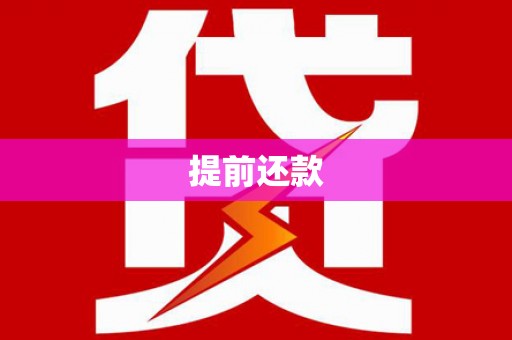 水城提前还款