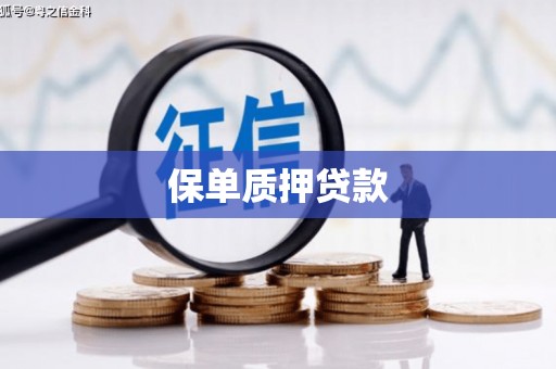 水城保单质押贷款