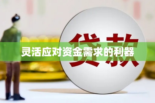 水城灵活应对资金需求的利器