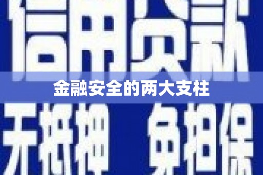 水城金融安全的两大支柱