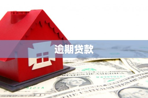 水城逾期贷款