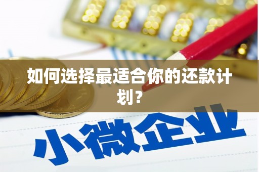 水城如何选择最适合你的还款计划？