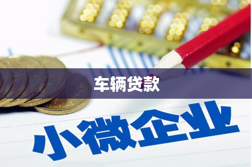水城车辆贷款