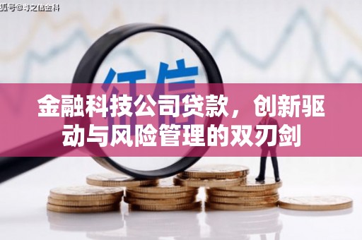 水城金融科技公司贷款，创新驱动与风险管理的双刃剑